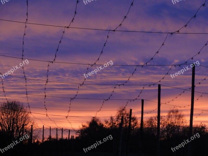 Sunset Evening Sky Hallertau Free Photos