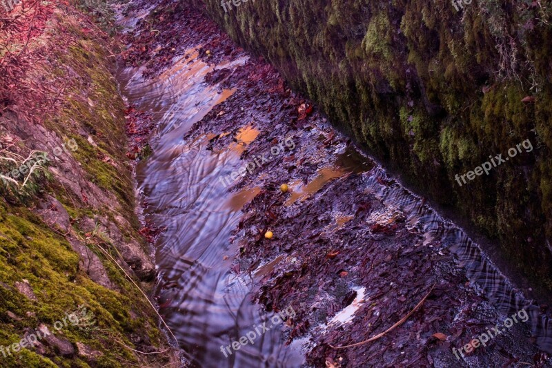 Bacj Channel Stream Bed Water Bach