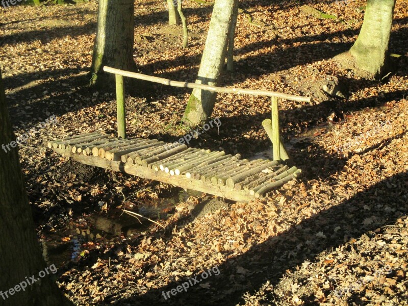 Bridge Forest Wooden Bridge Web Transition