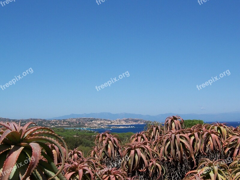 Caprera Sea Sardinia Free Photos