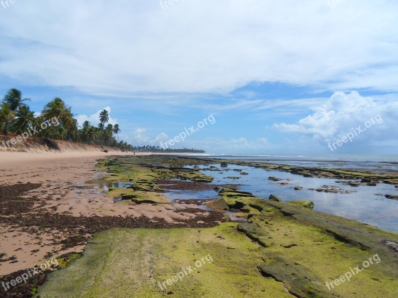 Bahia Deserted Beach Strong Beach Brazil Free Photos