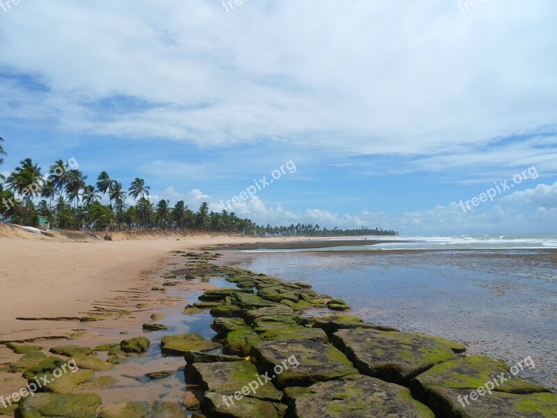 Bahia Deserted Beach Strong Beach Brazil Free Photos