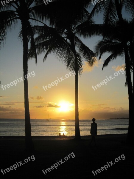 Hawaii Beach Sea Sonnenunergang Palm Trees