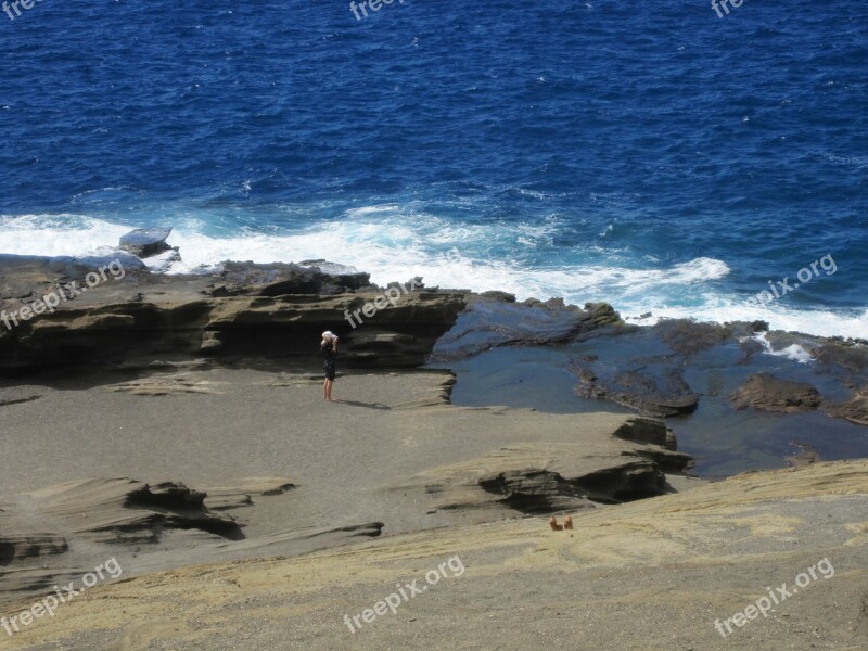 Hawaii Island Sea Coast Beach