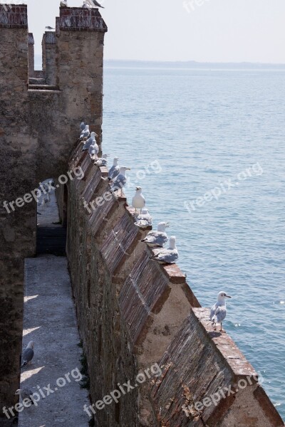 Loopholes Battlements Gulls Castle Fortress