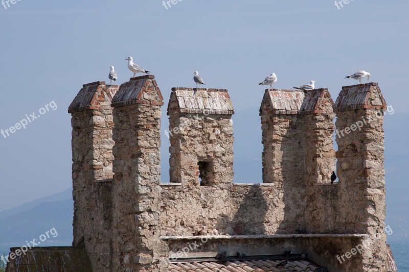 Battlements Gulls Castle Fortress Free Photos