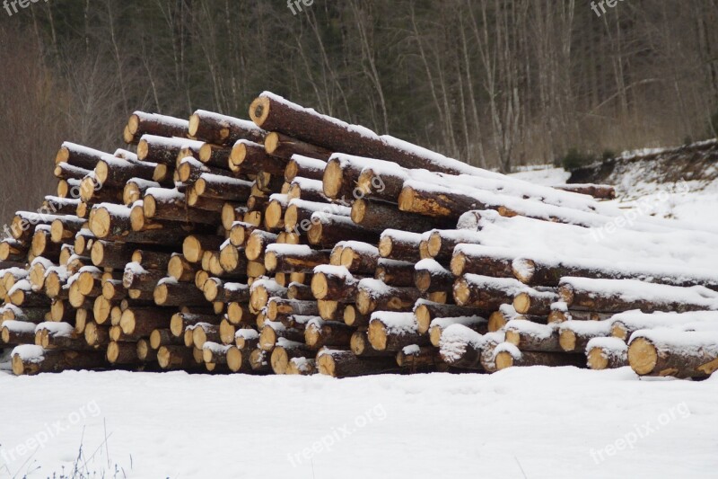 Holzstapel Tree Trunks Strains Log Stacked Up