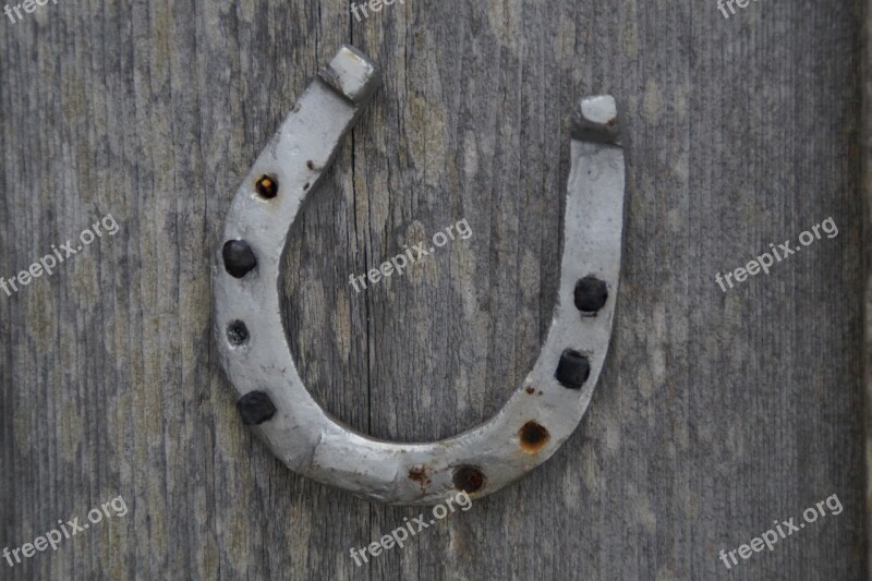 Horseshoe Luck Lucky Charm Suspended Decoration