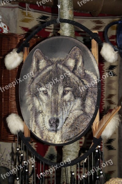 Indians Dream Catcher Wolf Indian Culture