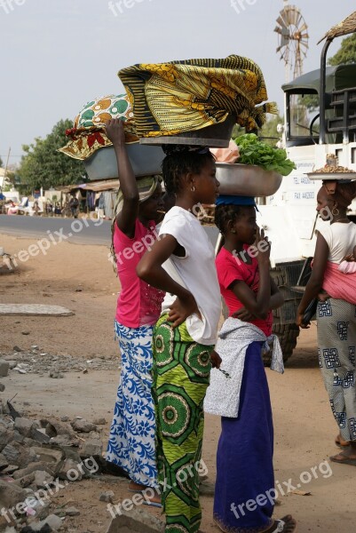 Gambia Girls Fish Market Africa Daily Life