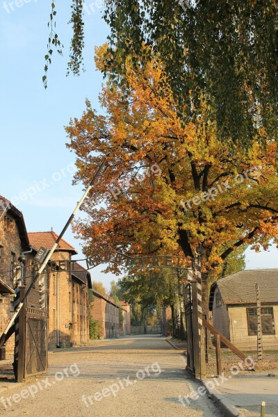 Auschwitz Gateway Alley Extermination Camp Concentration Camp