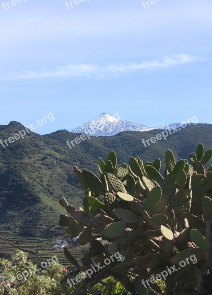 Tenerife Pico De Teide Teide Volcano Canary Islands