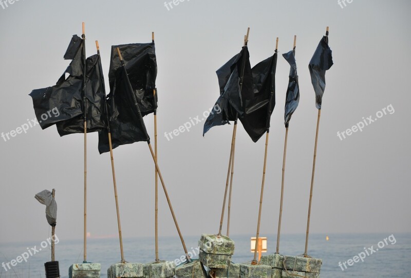 Pennants Sea Black Free Photos