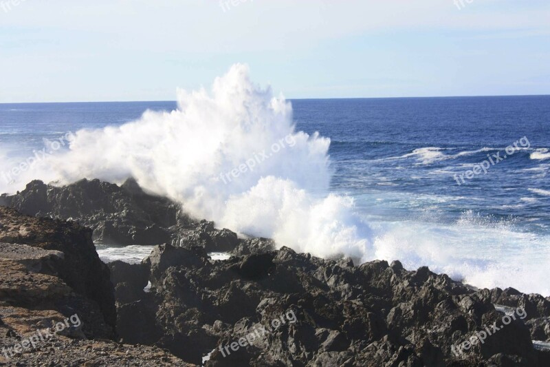 Coast Wave Surf Sea Ocean