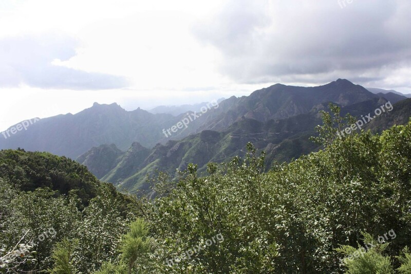 Landscape Tenerife Plant Nature Mountains