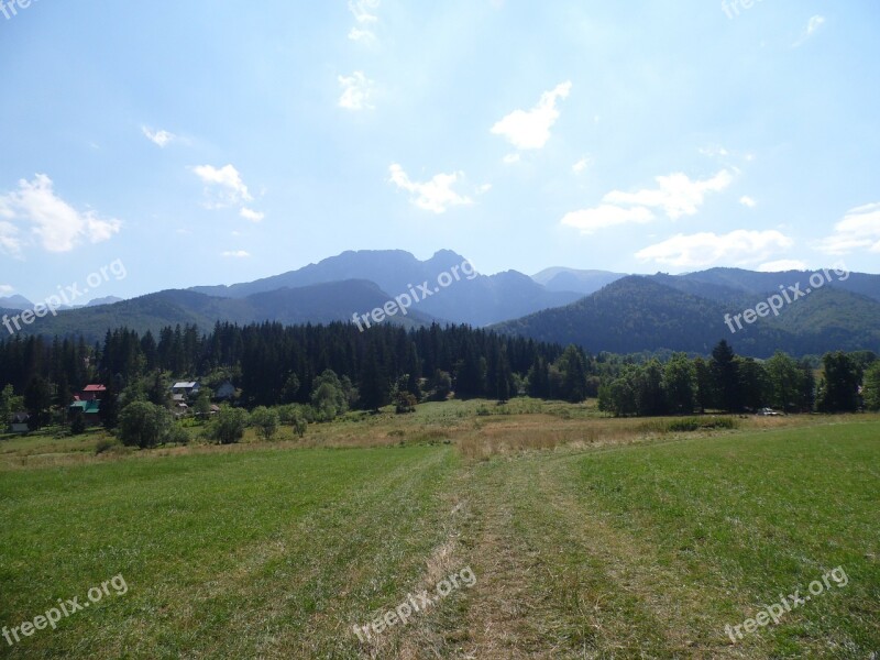 Mountains Tree Landscape View Summer