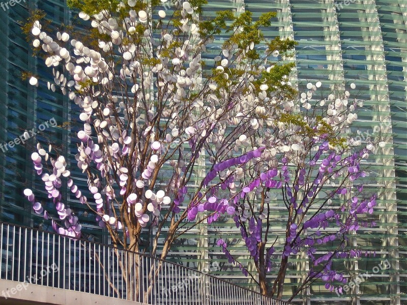 Art Tokyo Coins Tree Pink Free Photos