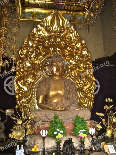 Japan Golden Buddha Religion Free Photos