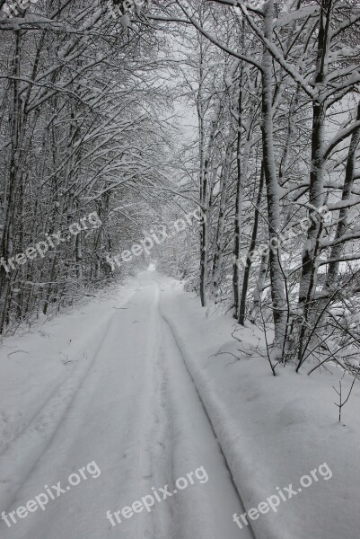 Snow Snow Tracks Tire Tracks Away Snowy