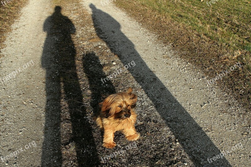 Terrier Master Sit Obey Personal