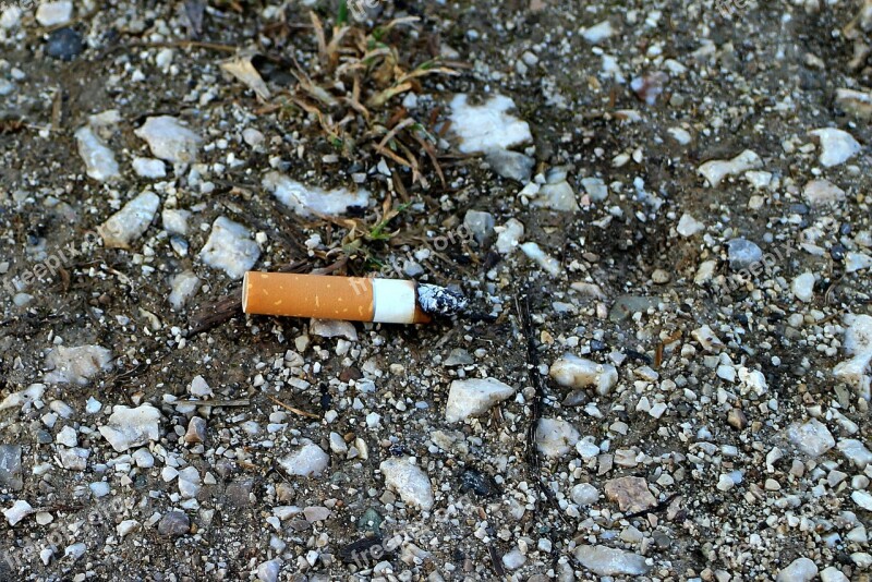 Cigarette Butt Cant Cigarette Stub Cigarette End