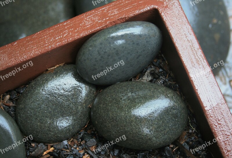 Pebbles Smooth Large Grey Shiny