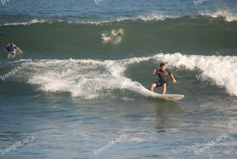 Surfer Sea Wave Sport Ocean