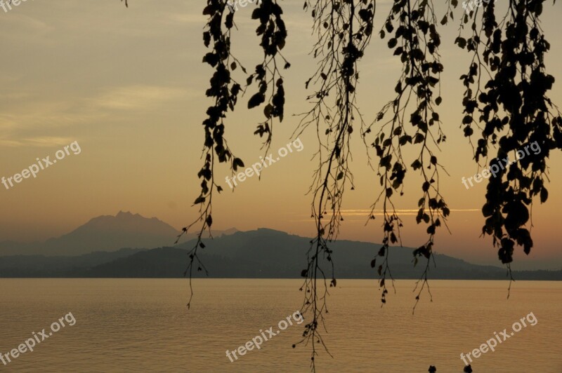 Branches Sunset Lake Evening Sky Abendstimmung