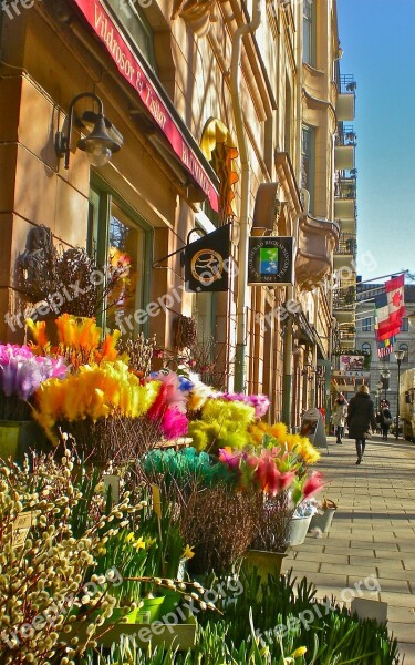 Flower Flower Shop Mariatorget Stockholm Free Photos