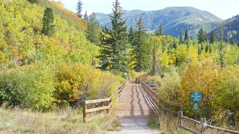 Foot Bridge Trail Bridge Wooden Bridge Bridge Wooden