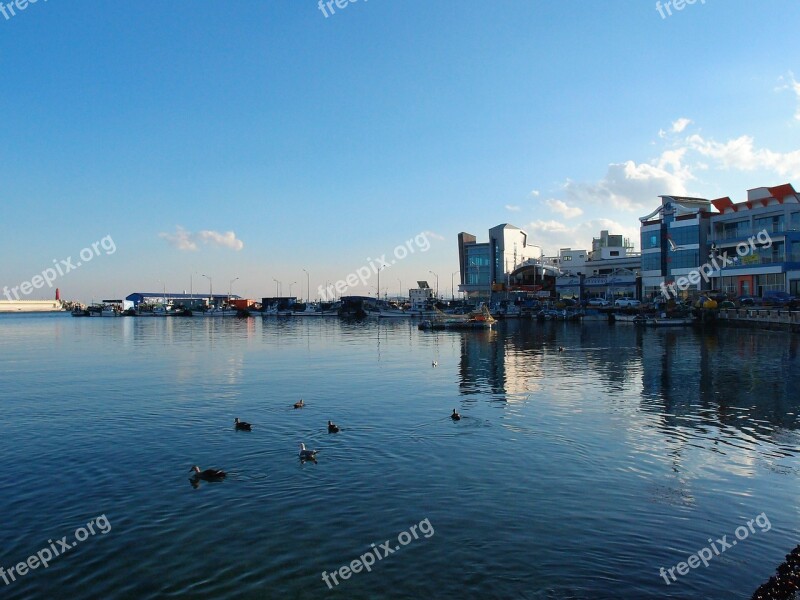 Sea Sky Gangwon Do Sokcho Daepo Port