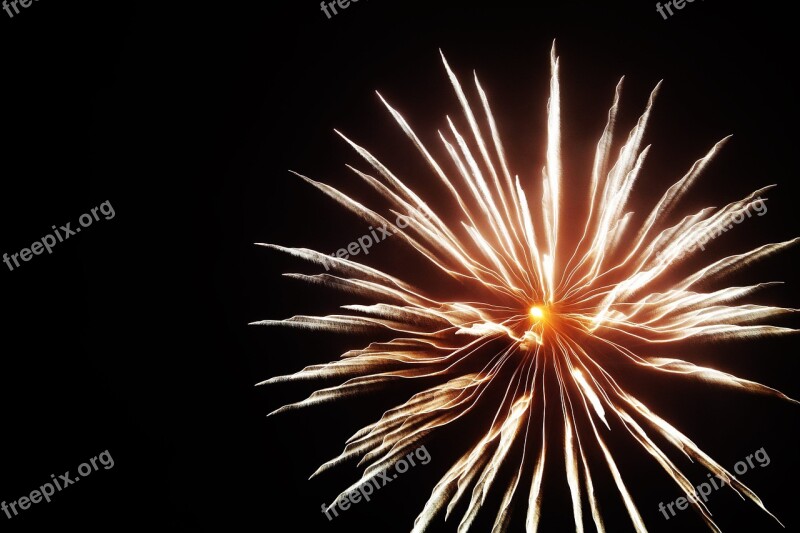 Fireworks Shape Flower Brightness New Year