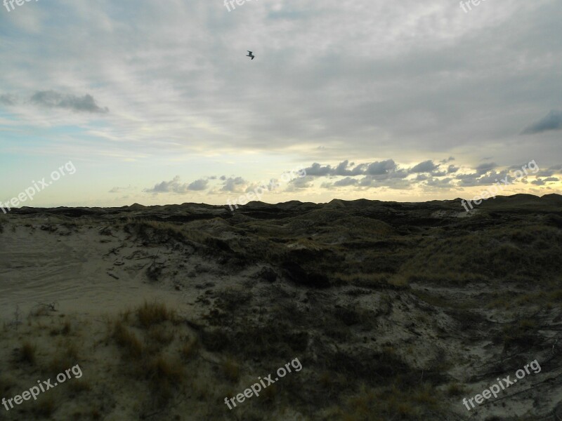 Dunes Island Amrum North Sea Free Photos