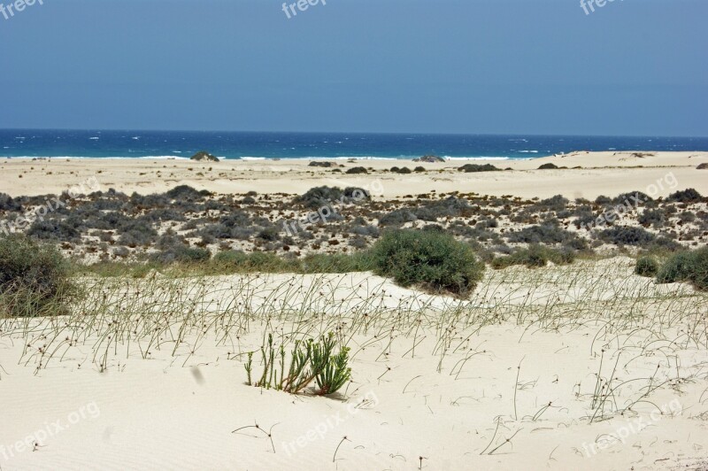 Desert Sand Hot Dry Dunes