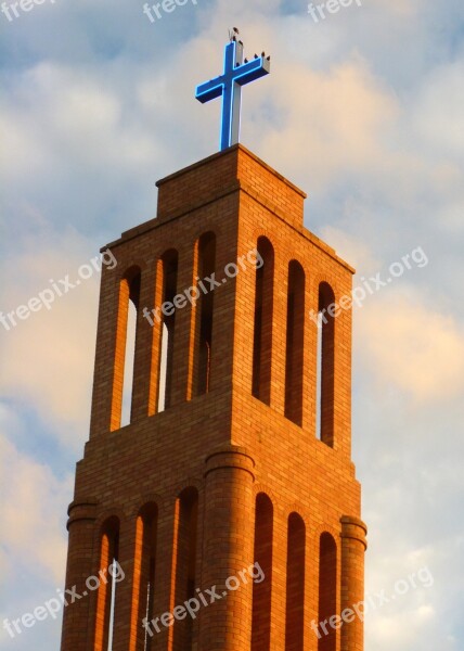 Cross Steeple Church Birds Building