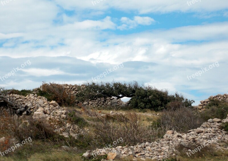 Island Of Rab Croatia Landscape Vegetation Rocky