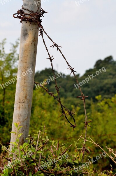 Barbed Wire Nature Palo Closure Free Photos