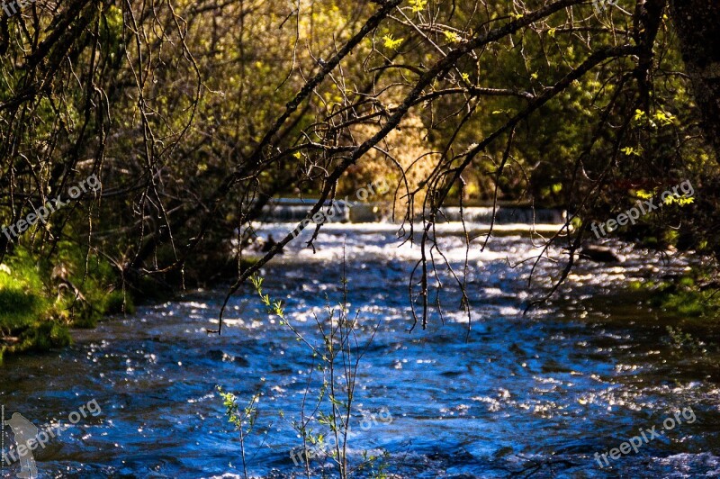 River Lozoya Nature Water Spain