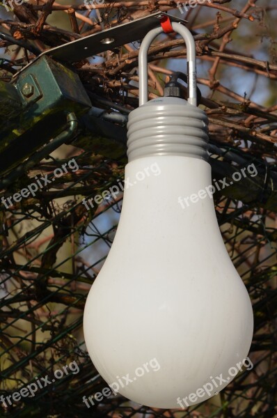 Lamp Light Bulb Lighting Decoration Free Photos