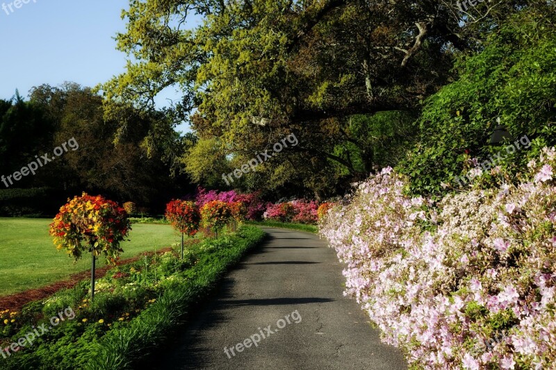 Bellingrath Gardens Alabama Landmark Destinations Flowers