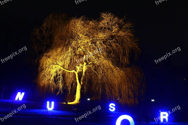 Westphalia Park Winter Lights 2013 Night Photograph Free Photos