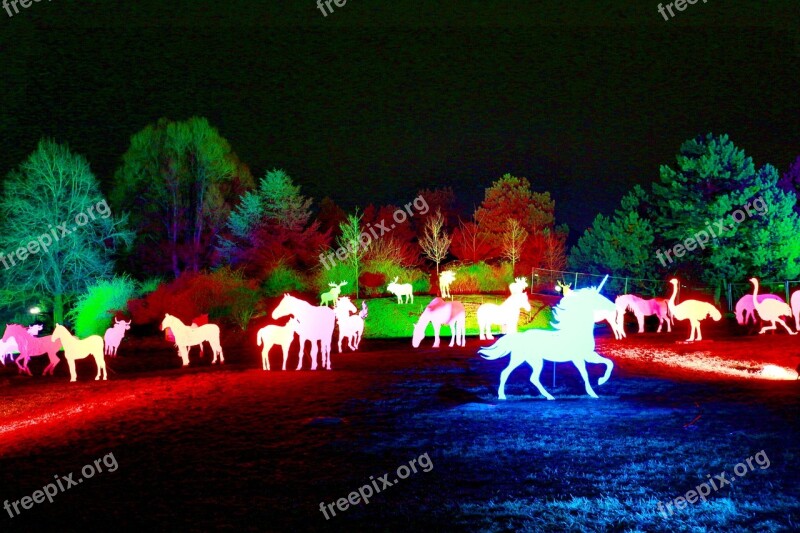 Westphalia Park Winter Lights 2013 Night Photograph Free Photos