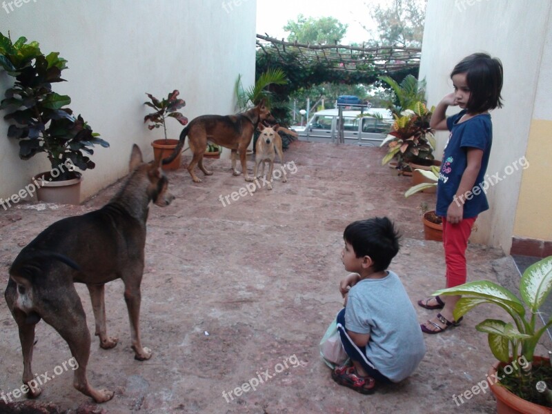 Impression India Children Dogs Ganpatipule