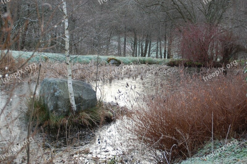 Pond Nature Water Plan Winter Free Photos