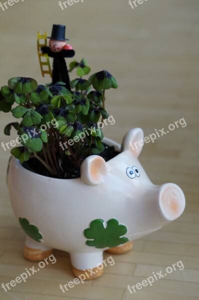 New Year's Eve New Year's Day Lucky Charm Pig Chimney Sweep