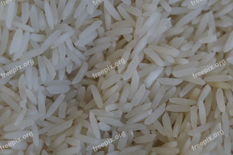 Rice Rice Grains White Cook Food