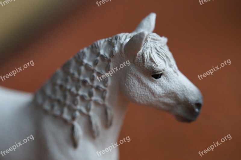 Horse White Horse Head Portrait Close Up