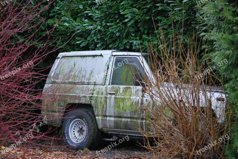 Jeep Car Shrubs Expired Free Photos