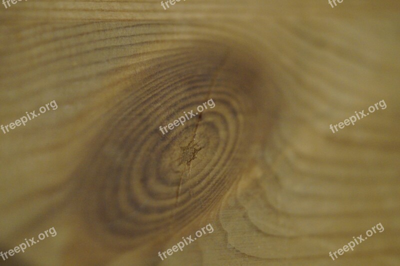 Annual Rings Wood Structure Texture Knothole