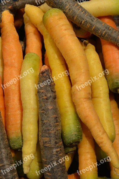 Carrots Vegetables Roots Power Supply Food Items